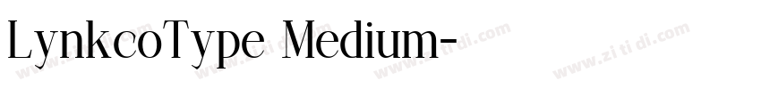LynkcoType Medium字体转换 LynkcoType Medium字体转换